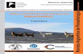 Órgano oficial de difusión científica de la Asociación … · 2019-05-16 · pasado por grandes transformaciones en los sistemas de inspección veterinaria de los animales pre