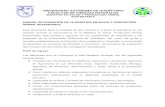 UNIVERSIDAD AUTÓNOMA DE QUERÉTARO FACULTAD DE …148.220.47.235/mspas/archivos/Manual_de_Operaciones.pdf · 2012-05-08 · UNIVERSIDAD AUTÓNOMA DE QUERÉTARO FACULTAD DE CIENCIAS