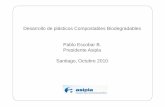 Pablo Escobar B. - Ministerio del Medio Ambientemetadatos.mma.gob.cl/sinia/articles-49567_03.pdfPablo Escobar B. Presidente Asipla Santiago, Octubre 2010 Temario 1. Industria transformadora