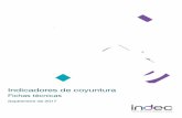 Indicadores de coyuntura - INDEC Argentina · A continuación, se presentan las fichas técnicas de los indicadores de coyuntura que elabora el INDEC, difundidos a partir de enero