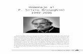 Homenaje al P. Silvio Broseghini 1949-2006chankuap.org/wp-content/uploads/2014/02/v2n2_Shilts.pdfde un reglamento de contravención interno. En-tonces el síndico tenía autoridad