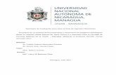 Managua, Julio 2017repositorio.unan.edu.ni/4717/1/95900.pdf · Seminario de Graduación para optar el título de Ingeniero Electrónico Propuesta de un sistema de Procesamiento y