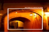 SECTOR IV. EDUCACIÓNfinanzas.gob.mx/contenido/InformacionFinanciera/Cuentas... · 2014-06-10 · Autoequipamiento y mantenimiento de planteles escolares Inmuebles 70 70 70 Equipamiento