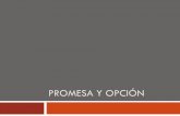PROMESA Y OPCIÓN...M.Sc. Viviana Vega 21/972018 3 La práctica guatemalteca enseña que se puede prometer la celebración de cualquier tipo de contrato no solo la compraventa y el