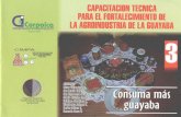 bibliotecadigital.agronet.gov.cobibliotecadigital.agronet.gov.co/bitstream/11348/4754/1/Capacitacio… · de la guayaba, como puré, salsas, compotas, jalea, mermelada, casquitos