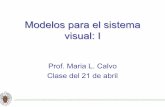 Modelos para el sistema visual: I - UCMwebs.ucm.es/info/giboucm/Download/21 de abril.pdfInhibición lateral de las neuronas •Fundamentos: Cuando una superficie sensitiva (por ejemplo