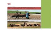 VISITAS GANADERIAS DE TOROS - Dasniva · El trabajo diario y el ma nejo de los toros bravos en el campo, como comen y como se reproducen. En remolques acondicionados y acompañados