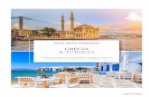 GRECIA & TURQUIA - Turismo Mediterraneo · 2019-10-24 · ARRIBO A ESTAMBUL Al arribo, recepción en el aeropuerto y traslado al hotel en la zona de Taksim. Alojamiento a partir de