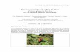 Insectos asociados al cultivo de Mora Rubus …Departamento de Madriz, entre los meses de septiembre 2004 a abril 2005, en dos parcelas de mora ya establecidas por el organismo no