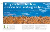 14 El poder de los cereales integrales14 Fitoterapia holística • Número 1 • 2011 El poder de los cereales integrales Los alimentos con cereales integrales son una fuente considerable