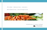 Ficha técnica curso: Alimentos ecológicos · 2019-06-14 · Los alimentos ecológicos son cada vez más demandados por los consumidores y en consecuencia están cada vez más presentes