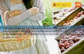 “EVOLUCIÓN DE LA CARACTERIZACIÓN DE LA TIPOLOGÍA Y …biorganicfoods.com/wp-content/uploads/perfil-consumidor... · 2015-03-09 · ECOLOGICOS NO ECOLOGICOS 1 7 2 5 1 7 El ciclo