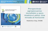Perspectivas agropecuarias mundiales y para América Latina ... S. Hubertus Gay.pdf · Cereales Lácteos Azúcar Aceite vegetal Frescos Carne Pescado . Se espera que la convergencia