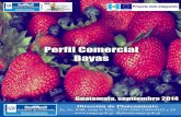 Presentación bayas.pdf · Bajo el nombre de Bayas o berries (por su nombre en inglés) se agrupan varias frutas también conocidas como frutos del bosque. Si bien botánicamente