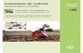 Calendario de cultivos ESTUDIO FAO ... - Cosas del Jardin...se presenta como la fecha de siembra más temprana y la más tardía. En los casos en que la siembra es posible durante