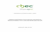 CENTRAL HIDROELÉCTRICA DE CALDAS S · 2016-04-20 · i subgerencia de subestaciones y lÍneas tÉrminos de referencia para el montaje y reposiciÓn de equipos en subestaciones y