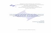 EVALUACIÓN DE LA INTEGRIDAD MECÁNICA METALÚRGICA DE · 2011-04-11 · Sofía, portador de la cédula de identidad 18.828.433, titulado Evaluación de la integridad mecánica metalúrgica