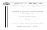 UNIVERSIDAD DE SONORA · 2020-02-06 · UNIVERSIDAD DE SONORA Divisi on de Ciencias Exactas y Naturales Programa de Licenciatura en Matem aticas Integraci on de Riemann en espacios