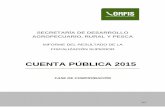 CUENTA PÚBLICA 2015 - Veracruz · fue aplicada al contenido de la Cuenta Pública 2015 del Poder Ejecutivo, respecto de la Gestión ... presenten la documentación y hagan las aclaraciones