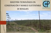MAESTRÍA TECNOLÓGICA EN CONSERVACIÓN Y MANEJO SUSTENTABLE DE … · 2014-07-09 · La Maestría tecnológica en “Conservación y Manejo Sustentable de Bosques” tiene como objetivo