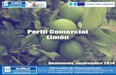 Presentación - maga.gob.gt limon.pdfque introduzca al productor y exportador al mercado de frutas y vegetales de la Unión Europea. Particularmente dar una visión del mercado en