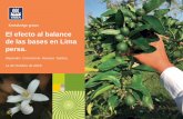 El efecto al balance de las bases en Lima persa....clave para fortalecer las plantas (lima Persa) contra estrés bióticos y a-bióticos. • Los nutrientes (minerales) tienen funciones