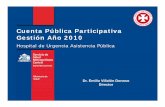Cuenta Pública Participativa Gestión Año 2010 · 2012-07-05 · Categorización Riesgo - Dependencia de Ef í 0,4% Enfermería CATEGORIZACION DE DIAS CAMA RIESGO DEPENDENCIA DE