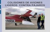 COLISIONES DE AVIONES LIGEROS CONTRA P£¾JA 2019-11-23¢  Conducta de vuelo .. Los pilotos conocer£Œn