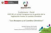 Los Bosques y el Cambio Climático - Portal Institucional e Información sobre la ... · 2019-09-08 · la Reduccion de emisiones por deforestacion y degradacion o incremento de reservorios