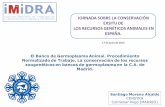 JORNADA SOBRE LA CONSERVACIÓN EXSITU DE …...Consejería de Medio Ambiente y Ordenación del Territorio Instituto Madrileño de Investigación y Desarrollo Rural, Agrario y Alimentario