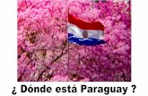 ¿ Dónde está Paraguay · PDF file Programa Nacional de Enfermedades Inmunoprevenibles Programa Ampliado de Inmunizaciones Dr. Hernán Diosnel Rodríguez Enciso ... Avances en la