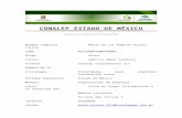 Conalepsistemas.conalep.edu.mx/siforma/archivos_buzon/correo... · Web viewConalep Estado de México "Educación de calidad para la competitividad" Nombre completo María De Los Ángeles