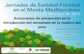 Actuaciones de prevención en la introducción del nematodo ...€¦ · El ambiente modifica la susceptibilidad de los pinos frente al NMP: temperaturas elevadas y un marcado déficit