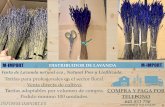 M-IMPORT M-IMPORT DISTRIBUIDOR DE LAVANDAm-import.es/wp-content/uploads/2018/09/LAVANDA... · DISTRIBUIDOR DE LAVANDA Venta de Lavanda natural eco , Natural Pres y Lioﬁlizada. Tarifas