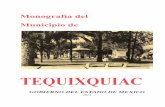 TEQUIXQUIAC - Monografiasmexiquenses · Hueypoxtla, lugares que en el pasado formaron parte del grupo tepa - ñeca. Con mucha posterioridad, entre 1144 y 1280 d.n. e. y salvo durante
