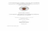 UNIVERSIDAD COMPLUTENSE DE MADRID · 2017-05-30 · FACULTAD DE FILOLOGÍA Departamento de Lengua Española, Teoría de la Literatura y Literatura Comparada Doctorado en Lengua Española