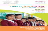 CONSEJO TÉCNICO ESCOLAR - Tamaulipas · clo lectivo 2018-2019, aplicables en toda la república para la educación preescolar, primaria, secundaria, normal y demás para la formación