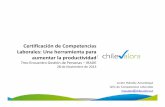 Certificación de Competencias Laborales: Una herramienta ...irade.cl/wp-content/uploads/2013/12/Loreto_Mendez.pdf · Ranking mundial de productividad por trabajador Medición 2012