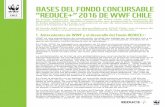 BASES DEL FONDO CONCURSABLE “REDUCE+” 2016 DE WWF …awsassets.panda.org/downloads/bases_fondo_consursable_wwf_chile_1.pdfAntecedentes de WWF y el desarrollo del Fondo REDUCE+: