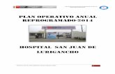 HOSPITAL SAN JUAN DE LURIGANCHOhospitalsjl.gob.pe/ArchivosDescarga/Transparencia/Planea... · 2018-03-01 · “año de la inversión para el desarrollo rural y la ... 1.9 objetivos