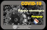 Presentación de PowerPoint³n de la superficie con hipoclorito de sodio al 0.1% o etanol al 62-71% reduce significativamente la infectividad del coronavirus en las superficies en