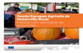 Fondo Europeo Agrícola de Desarrollo Rural Folleto con ... · una de las principales tareas asignadas a las RRN y a la RE DR. El presente folleto, que ha sido elaborado con el fin
