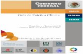 Guía de Práctica Clínica - UQROOdcs.uqroo.mx/paginas/guiasclinicas/gpc/docs/IMSS-266-10-ER.pdf · Puebla, Puebla Valenzuela Flores Adriana Abigail Médica Pediatra Coordinación