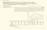 ablecimiento y producción de gramíneas y leguminosas ...ciat-library.ciat.cgiar.org/Articulos_Ciat/2015/19625.pdf · Se evaluaron 20 eco tipos de leguminosas y 4 de gramíneas,