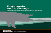 Eutanasia en la Granja - AASV · En cada granja de ganado porcino es inevitable que se presenten situaciones en las que se les necesita realizar la eutanasia a los animales. La eutanasia,