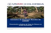 Iniciativa de Finanzas Rurales de USAID · 2019-05-02 · Iniciativa de Finanzas Rurales de USAID Financiación a Cadena de Valor de Plátano en Urabá Antioqueño . Este informe