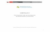 CARTILLA 4 - cdn. · El Programa Municipal de Educación, Cultura y Ciudadanía Ambiental (Programa Municipal EDUCCA) es el instrumento de planificación y gestión de los gobiernos