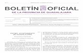 DE LA PROVINCIA DE GUADALAJARA · lativo 2/2004, de 5 de marzo), y en el ejercicio de la potestad reglamentaria reconocida al Ayuntamiento de Guadalajara, en su calidad de Administración
