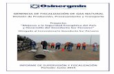 GERENCIA DE FISCALIZACIÓN DE GAS NATURAL · 2018-01-05 · Procesamiento y Transporte de la Gerencia de Fiscalización de Gas Natural de Osinergmin (DPTN-GFGN) para la supervisión