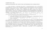 CAPÍTULO III MODALIDADES DE EFECTOS EXTERNOS DE MERCADOolmedam/ee3.pdf · La importancia de la diferenciación podrá destacarse en páginas posteriores. Por otra parte, es preciso